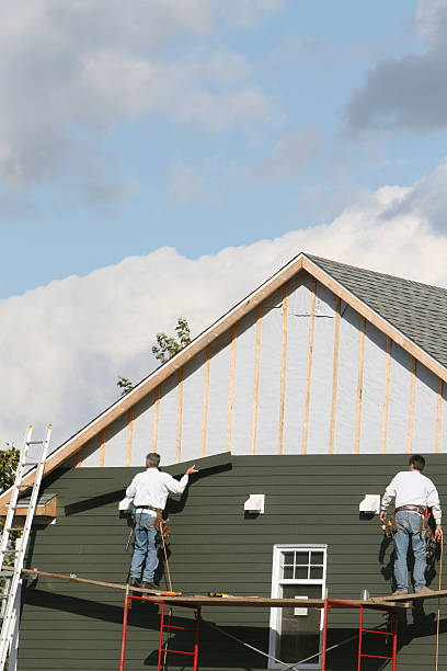 Best Furniture Removal  in Newellton, LA